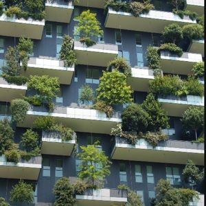 ECO FRIENDLY